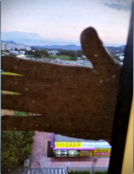 노원구 하계동 방충망 교체 시공 사진 2